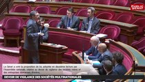 Devoir de vigilance des sociétés multinationales - Les matins du Sénat (17/10/2016)