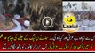SAMMA News Played a Clip of PML-N's Jalsa and Bashing on PML-N