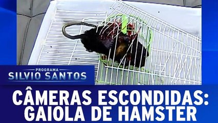 Câmeras Escondidas: Gaiola de Hamster