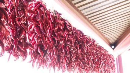 How To Peel Roasted Peppers