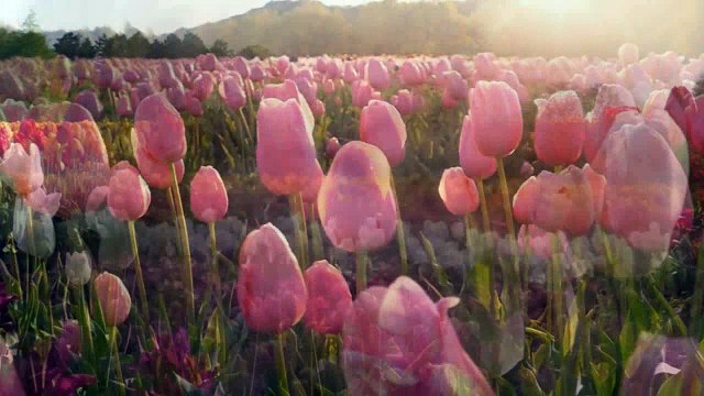 Твоя улыбка. автор и исполнитель Юлия Романовская