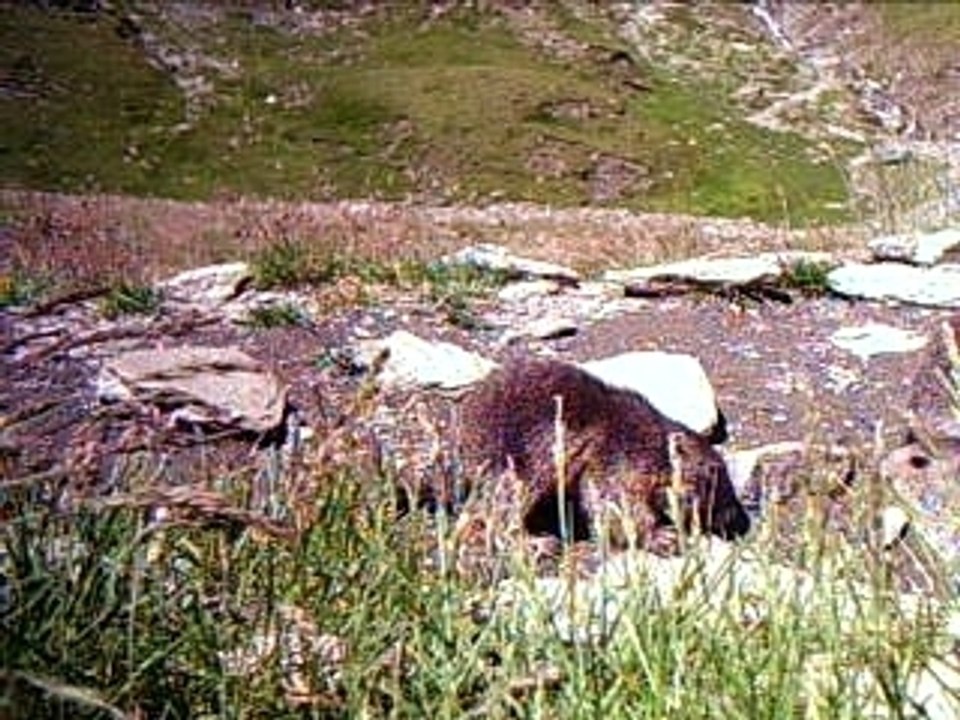 8 environs du Col Agnel026