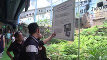 Hong Kong mourns world's oldest captive giant panda