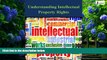 Big Deals  Understanding Intellectual Property Rights  Full Ebooks Best Seller