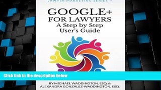 Big Deals  Google+ for Lawyers: A Step by Step User s Guide: Subtitle (Lawyer Marketing Series)