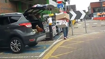 Un passager clandestin pas comme les autres