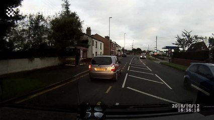 Horse throws rider off on road and runs away