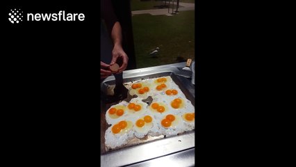 Aussie barbecuers stunned by 18 double-yolked eggs