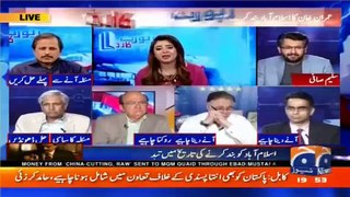 Hassan Nisar Makes All Other Analysts Speechless Over Their Criticism of Imran Khan's Lock-down Call