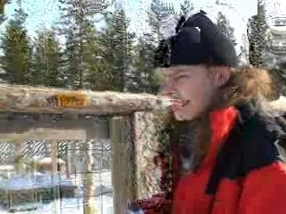 Ari Levillä
