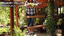Ecco come creare un giardino pensile semplicemente con una grondaia: