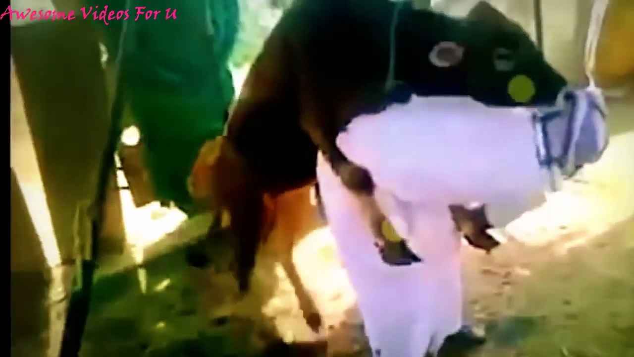 Indian Funny Videos of 2016 What's app "Try Not To Laugh Challenge"