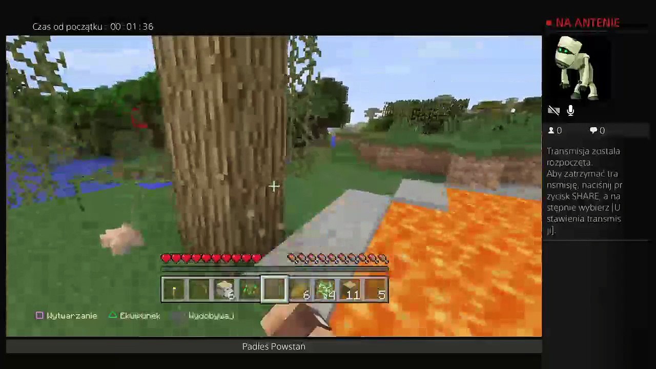 Minecraft (40)