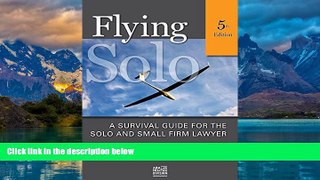 Books to Read  Flying Solo: A Survival Guide for Solos and Small Firm Lawyers  Best Seller Books
