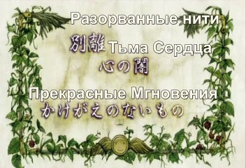 Союз Серокрылых 11