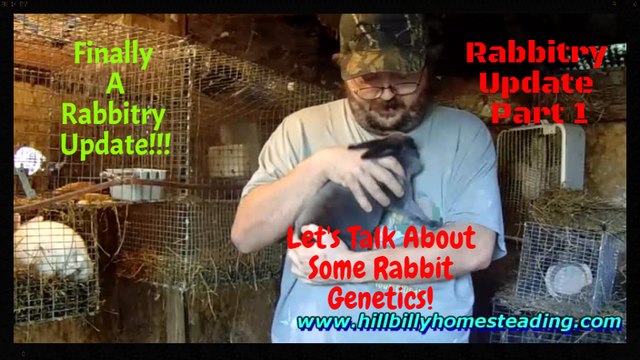 Rabbits - Overdue Rabbitry Update 10-9-2016 Baby Bunnies and Discussing Rabbit Genetics!.mp4