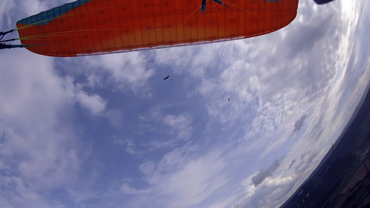 balade dans le ciel de Millau avec les vautours
