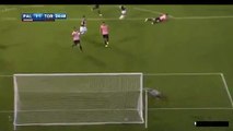 Adem Ljajic Goal HD - Palermo 1-1 Torino - 17.10.2016