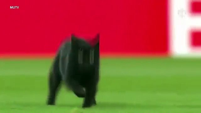 Anfield Cat is back ahead of Liverpool vs Manchester United -