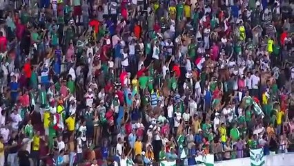 Santa Cruz 2 x 3 Palmeiras, GOLS Brasileirão Série A 03/10/2016