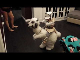 Little Boy Has Won Halloween With Handmade Star Wars Costume