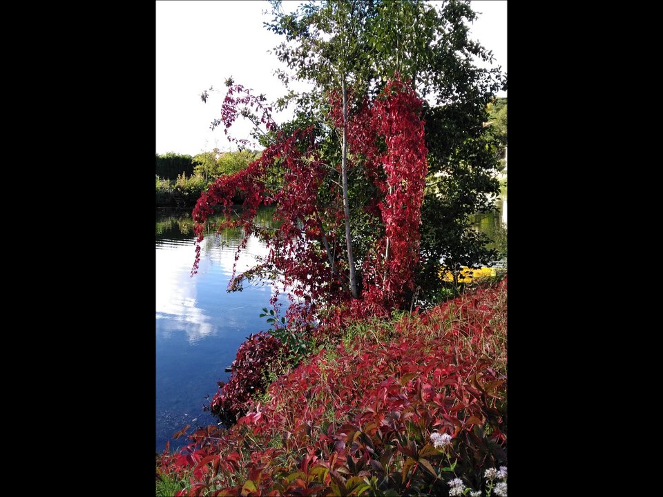 le halage de la Sêvre Niortaise 2016