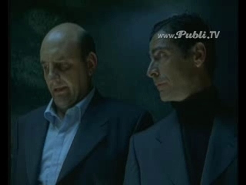 Tulipan-SinCondon