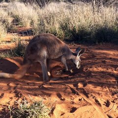 I Love Hanging Out With Indi