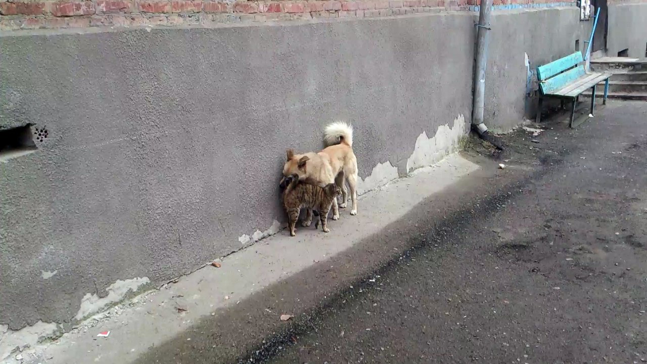 Love Me...or Else