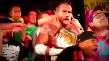 هجوم الجماهير على المصارعين وعلى حلبة المصارعة WWE