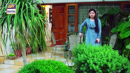 Mein Mehru Hoon Ep 60 - 17th October 2016 - ARY Digital Drama