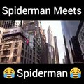 Spiderman vs Spiderman