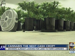 Growers looking for Arizona land to farm cannabis