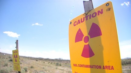 Radiation Effects on the Environment