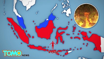 Le smog venant des feux de forêt en Indonésie aurait tué 100 000 personnes