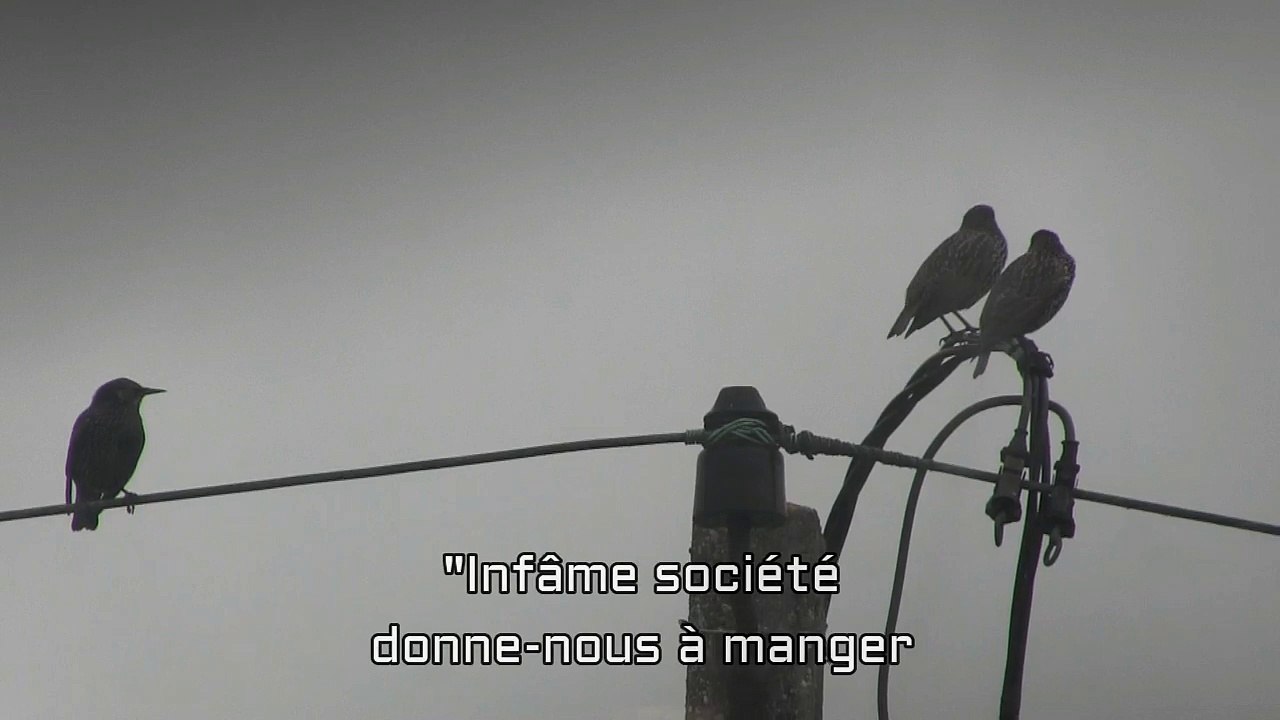 8 - Session#1&2 BG's Studio