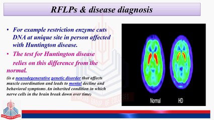 HGP & Diagnosis,RFLPs & Disease Diagnosis,Base Sequence Map,Methodology