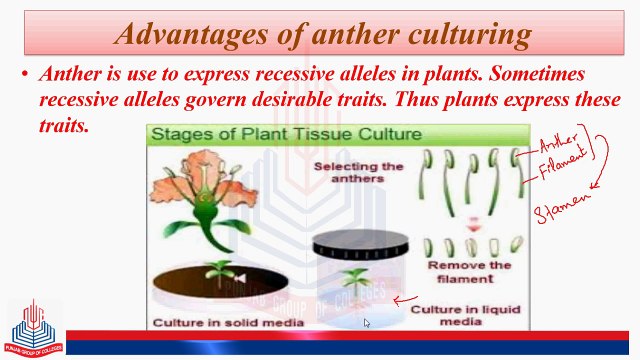 Anther Culturing, Advantages, Suspension Culture, Uses, Summary of Tissue Culture Methods