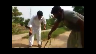 pakistani WhatsApp funny videos