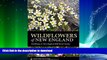 READ  Wildflowers of New England: Timber Press Field Guide (A Timber Press Field Guide) FULL