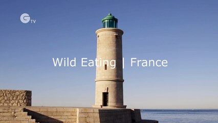 France | Top 6 Wild EV Drives