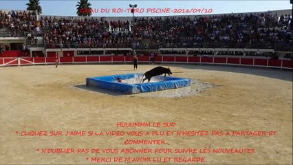 GRAU DU ROI-Toro Piscine-2016/09/10-VC-Taureaux