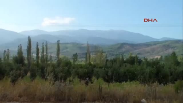 Çanakkale Kuraklık Kazdağları'ndaki Kestanelerde Verimi Düşürdü