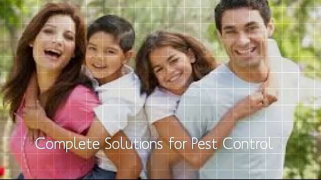 pest control bangalore | pest control services in bangalore | pest control in bangalore | pest control of india