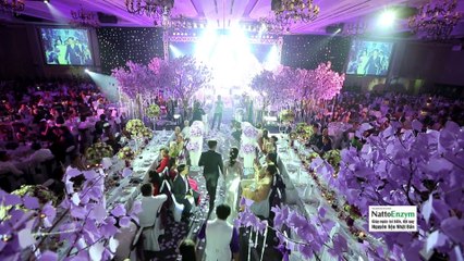 Nghề trang trí tiệc cưới - Vui Sống Mỗi Ngày [VTV3 - 14.10.2016]