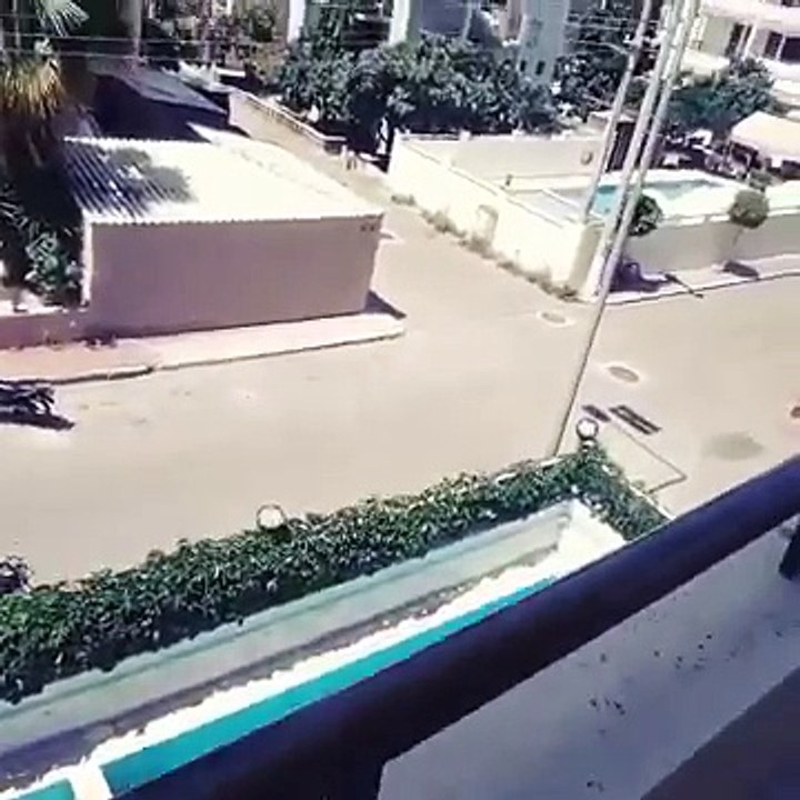 Taner Tolga Tarlacı - Tüm Vine'lar  ( 2014 - 2015 full )