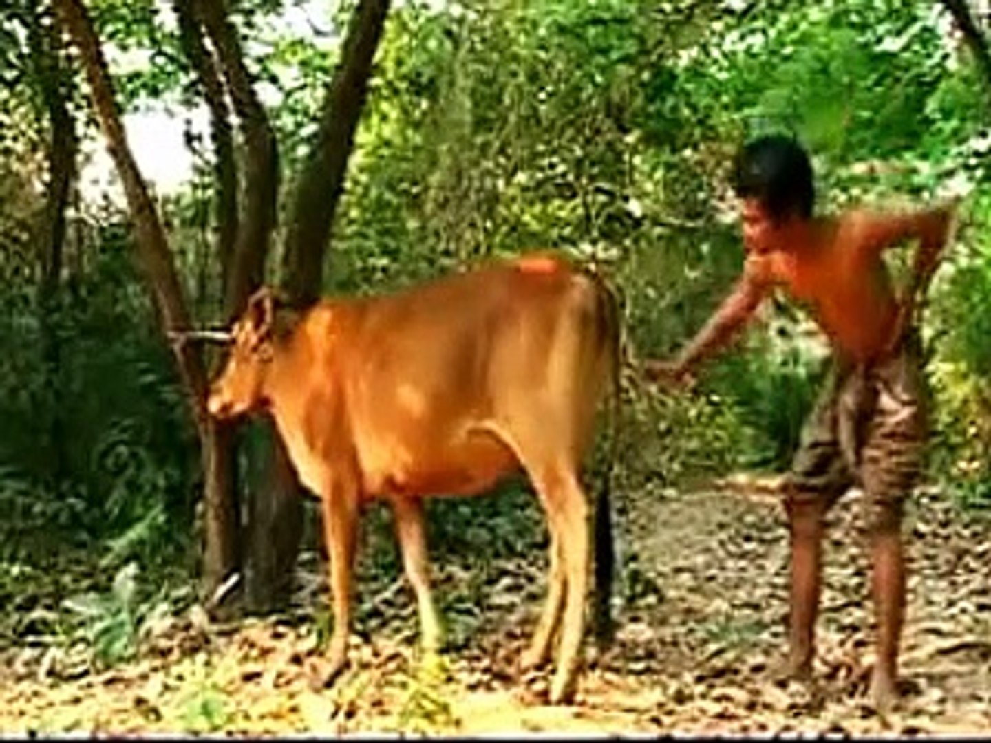 APoy | Comedy | Comedy Videos | Comedy Clips | Funny News | Funny News Bloopers | Funny News Videos