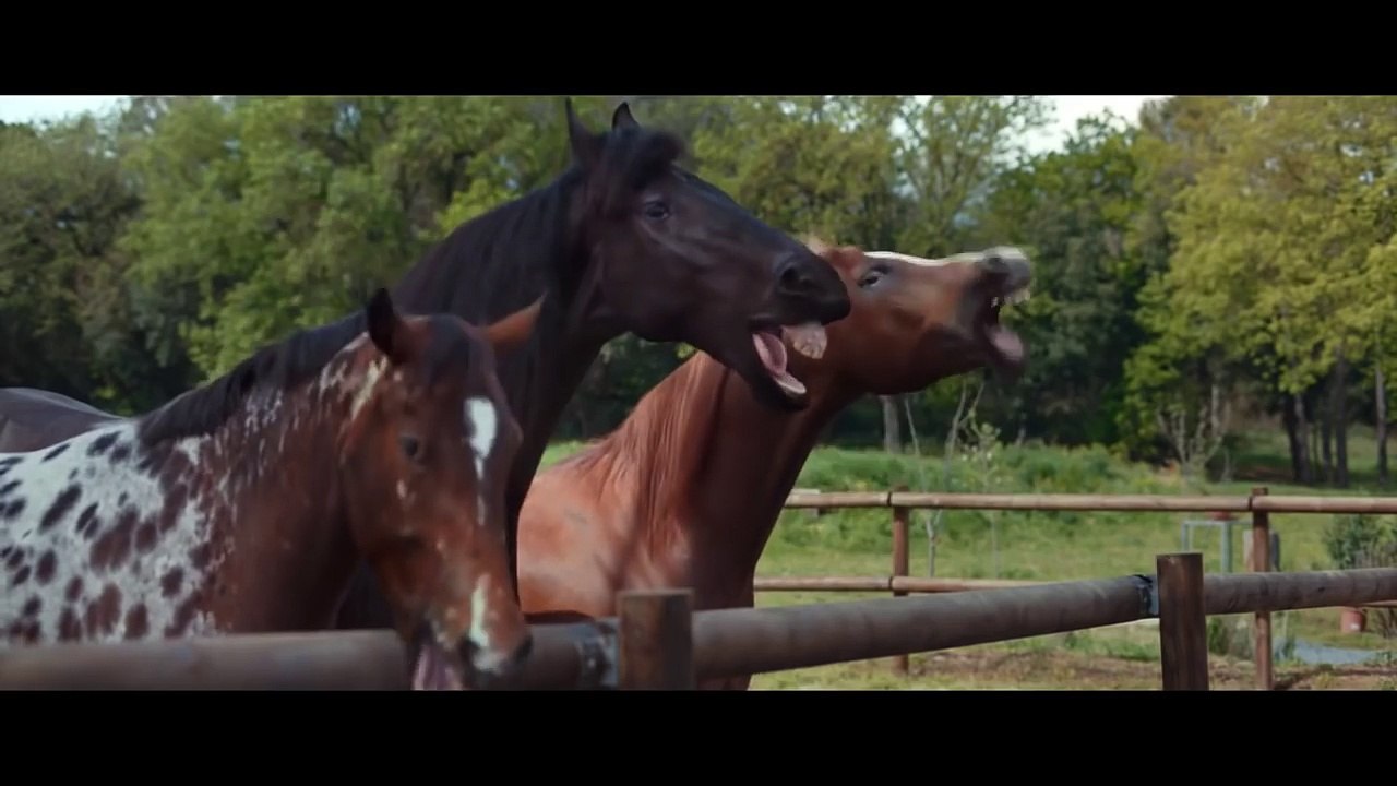[Werbung] Einparken ohne Lachnummer - Lachende Pferde - Tiguan - Volkswagen - Auto