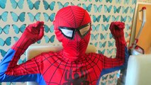 Spiderman cartoon, Real Hulk vs Spiderman - BAD TEMPER - HULK SMASH | Real life Superhero Fun Battle