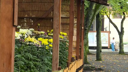 Lembranças de um passado doloroso